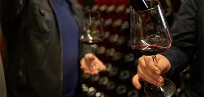 Split and Dalmatia wine tours - TEMPER TRAVEL